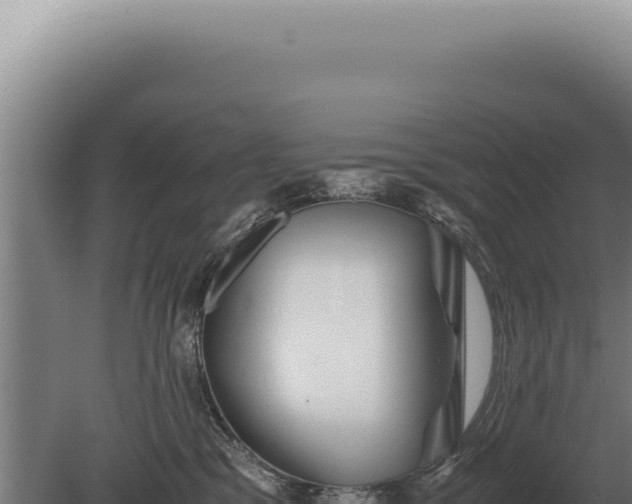 X0000080160329200612151902