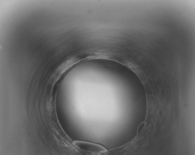 X0000080160338200612151901