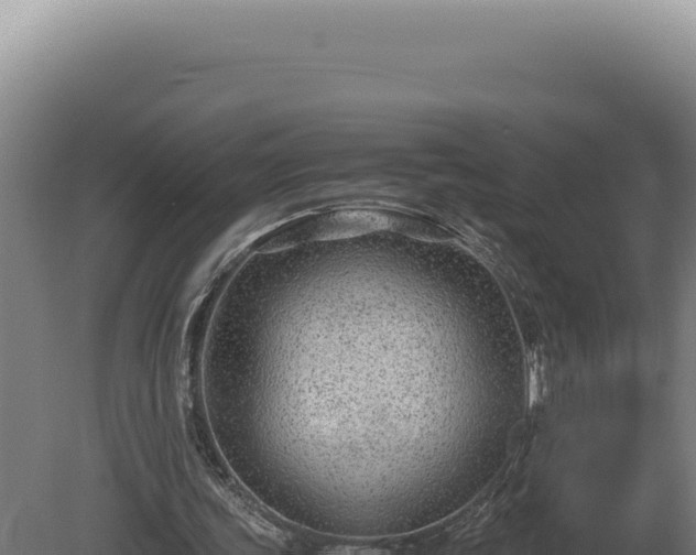 X0000080160339200612151901