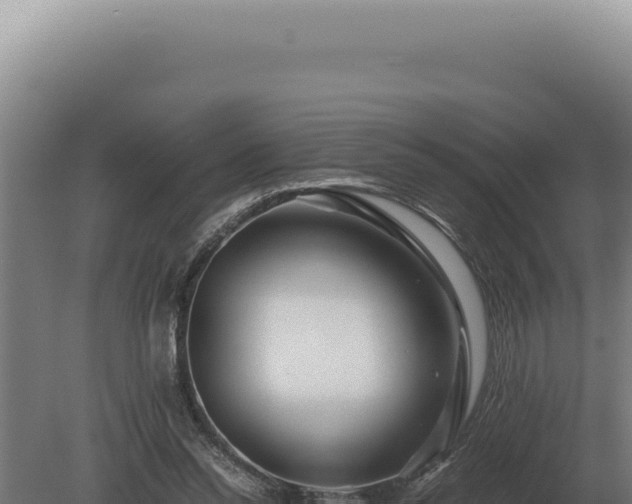 X0000080160350200612151902