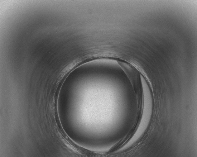 X0000080160389200612151901