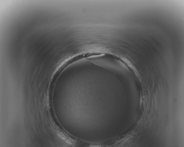 X0000080160391200612151901
