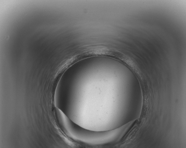 X0000080160397200612151901
