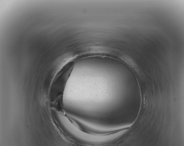 X0000080160436200612151900