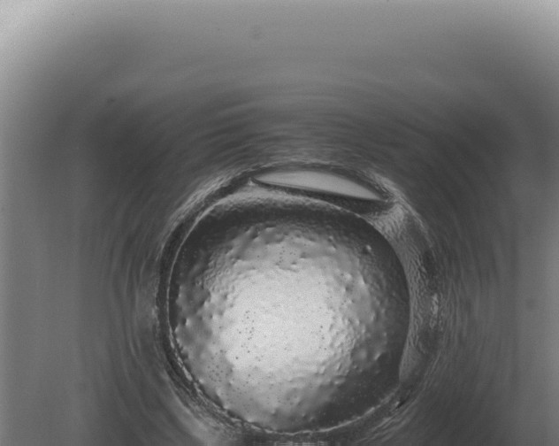 X0000080160443200612151900