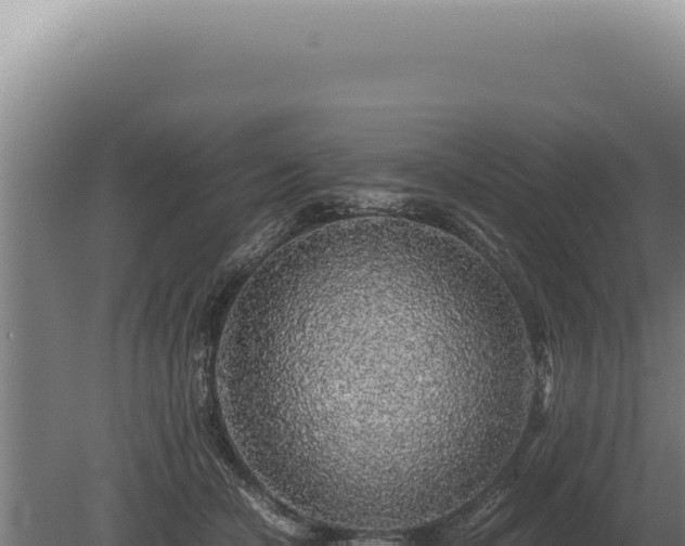 X0000080160462200612151900