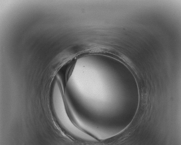 X0000080160485200612151900