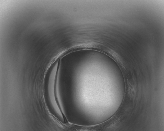 X0000080160486200612151900