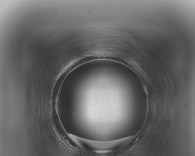 X0000080160488200612151900