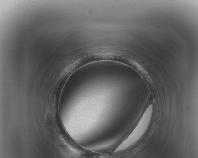 X0000080160493200612151900