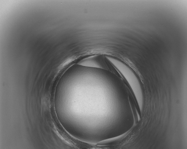 X0000080160530200612151858