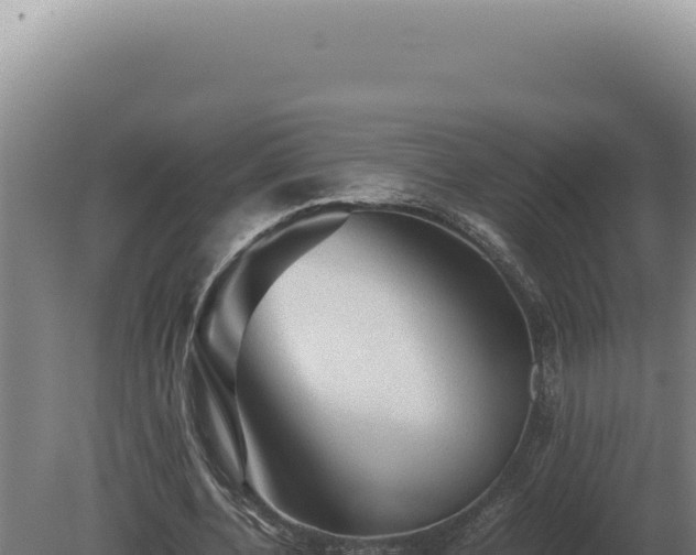 X0000080160532200612151858