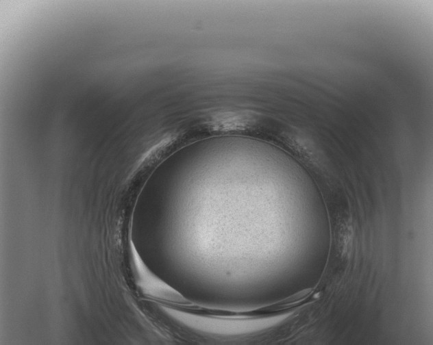 X0000080160543200612151858