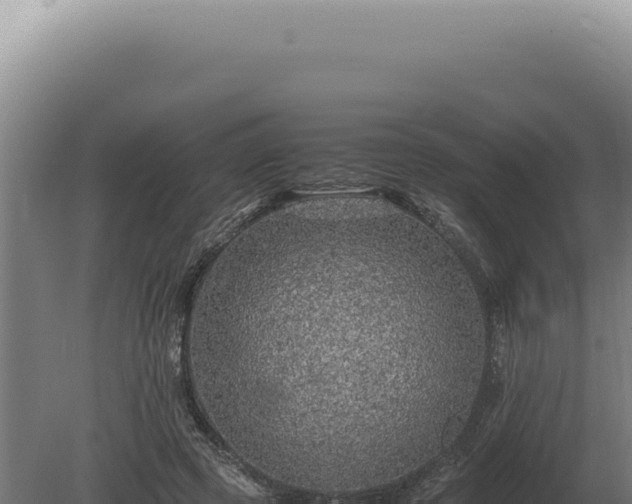 X0000080160545200612151858
