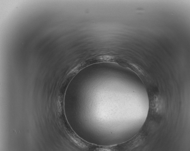 X0000080160572200612151859