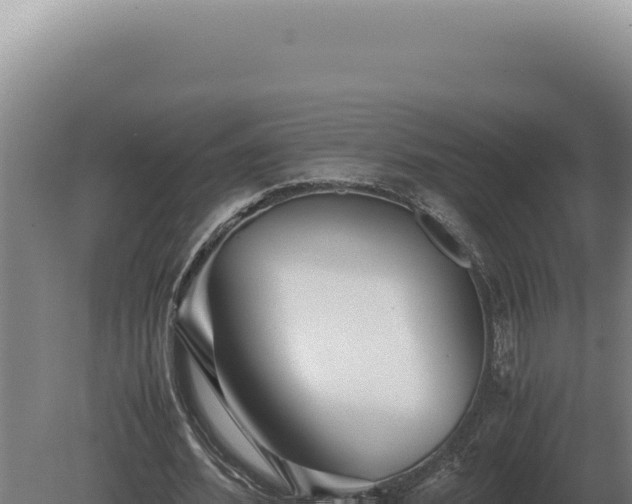 X0000080160580200612151858