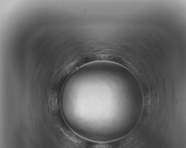 X0000080160615200612151858