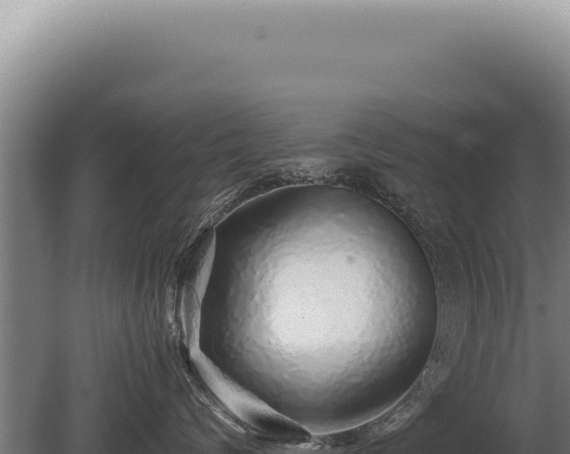 X0000080160624200612151857