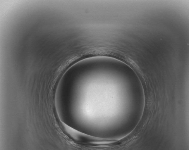 X0000080160673200612151857