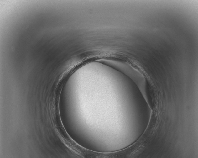 X0000080160677200612151856