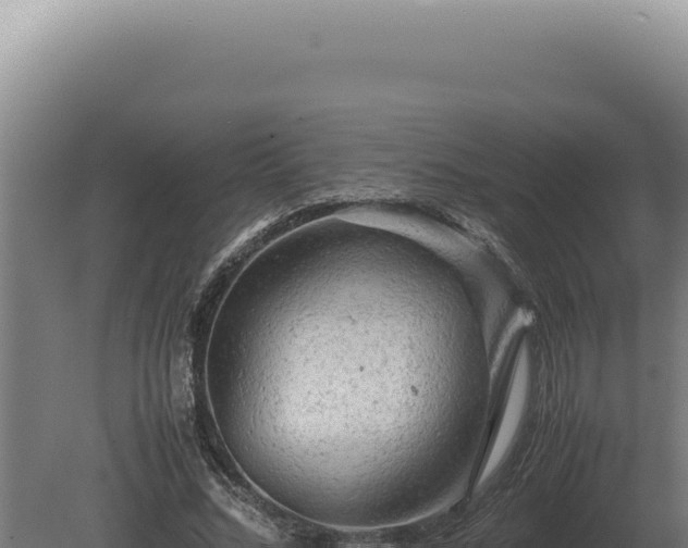 X0000080160684200612151856
