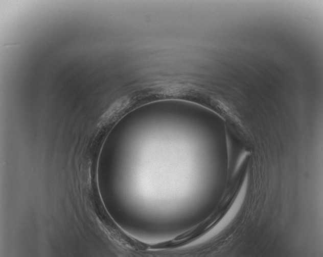 X0000080160685200612151856