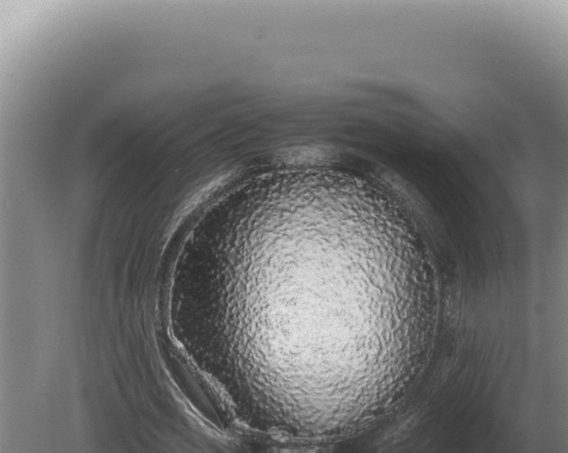 X0000080160725200612151855