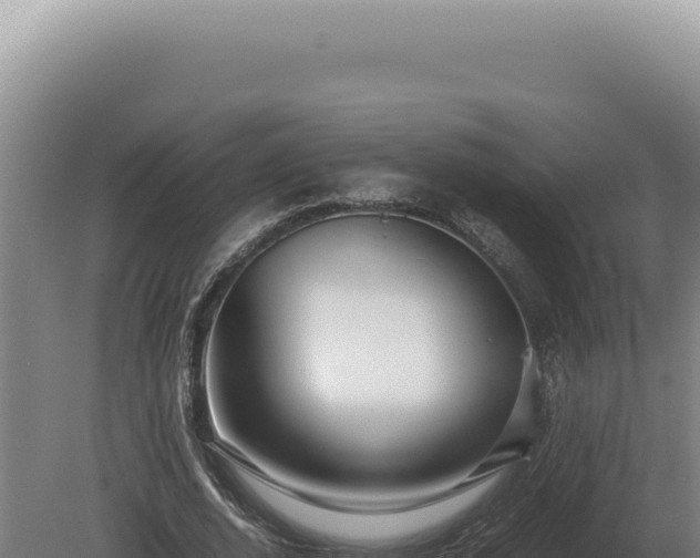X0000080160728200612151855