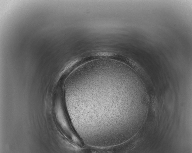 X0000080160731200612151855
