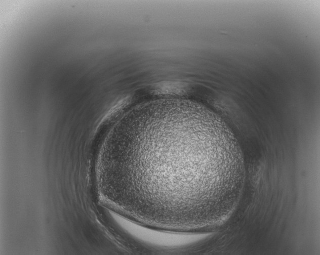 X0000080160735200612151855