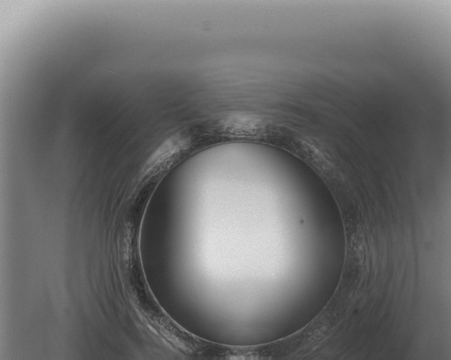 X0000080160744200612151855