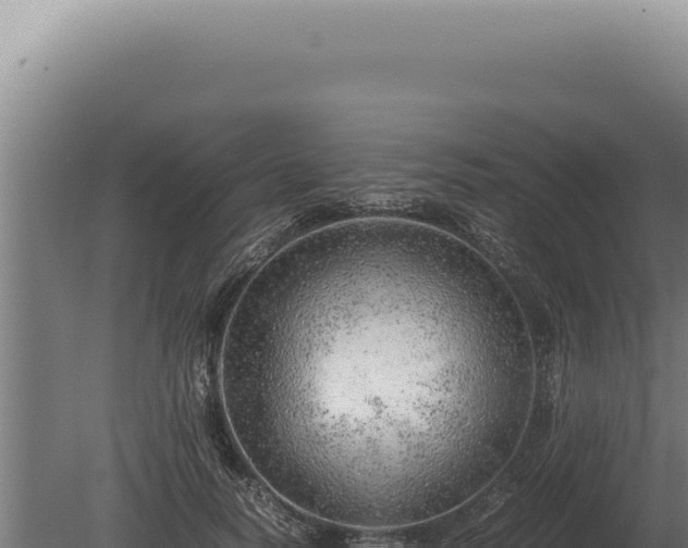 X0000080160746200612151855