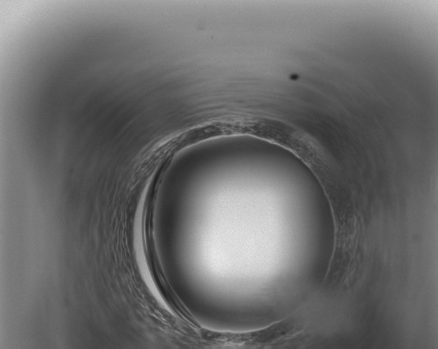 X0000080160773200612151855