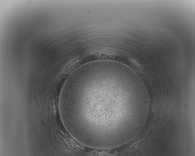 X0000080160774200612151855