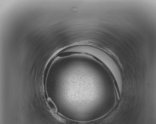 X0000080160792200612151855