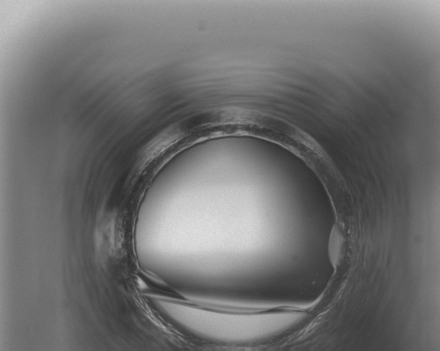 X0000080160826200612151853