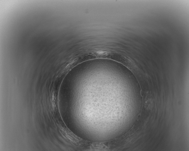 X0000080160866200612151853