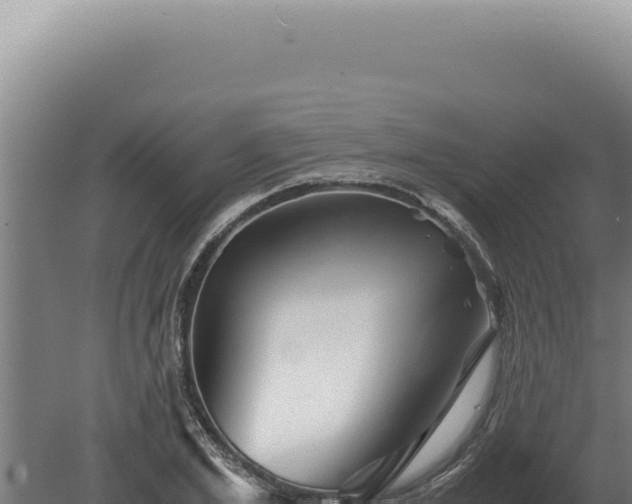 X0000080160981200612151851