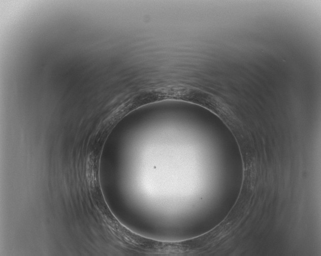 X0000080161058200612151850