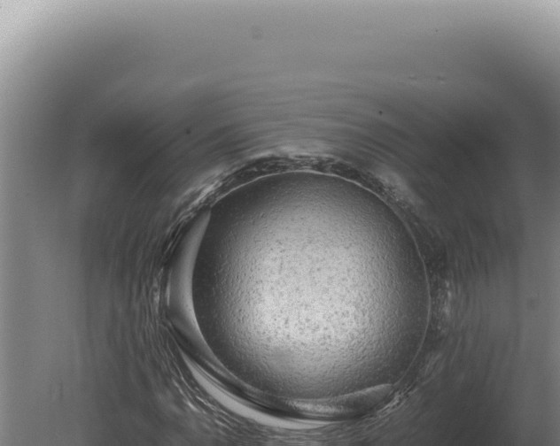 X0000080161110200612151849