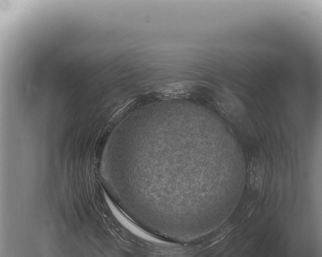 X0000080161346200612151845