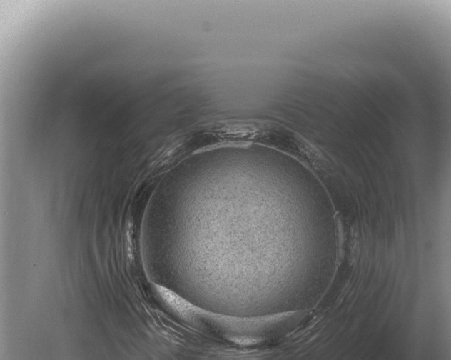 X0000080161394200612151844