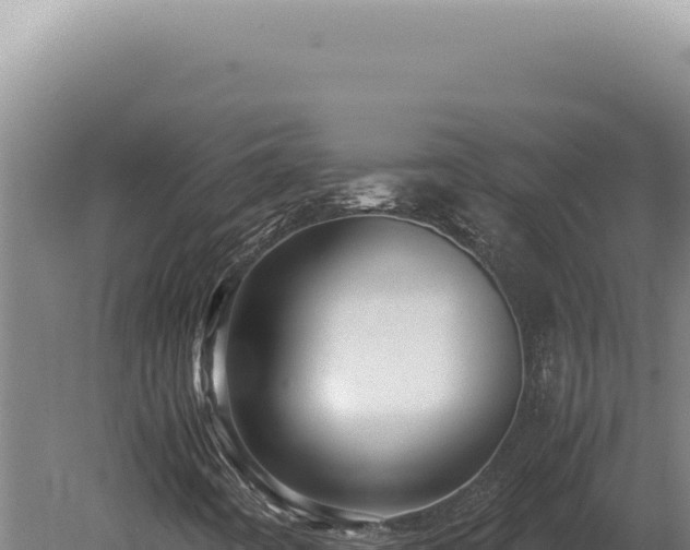 X0000080161442200612151844