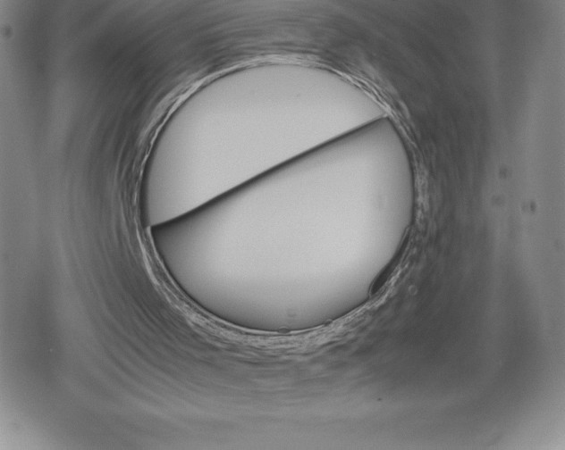 X0000080160001200612221237