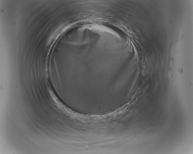 X0000080160002200612221237