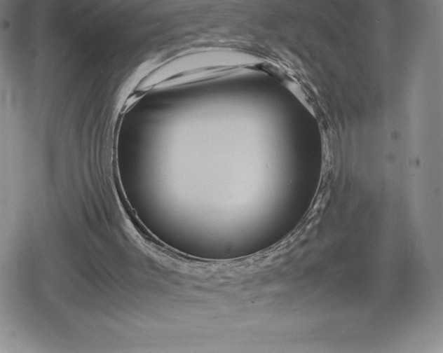 X0000080160003200612221237