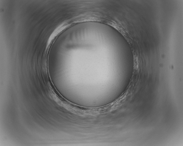 X0000080160004200612221237