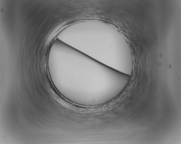 X0000080160005200612221237