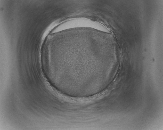 X0000080160006200612221237