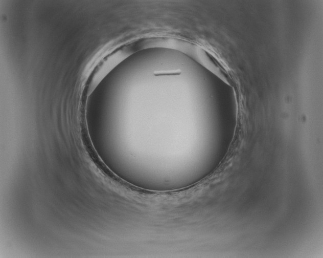 X0000080160007200612221237